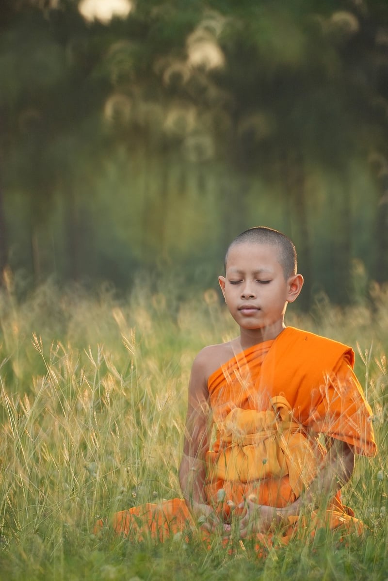 Yoga Vinyasa Flow